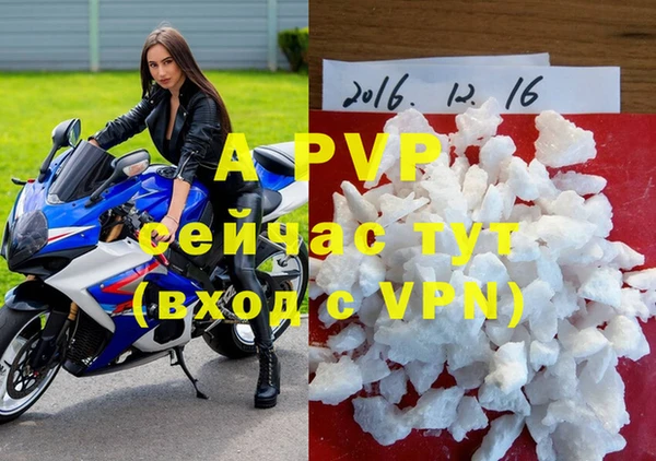 гашик Приозерск