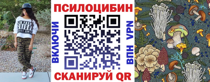Галлюциногенные грибы ЛСД  Чегем 