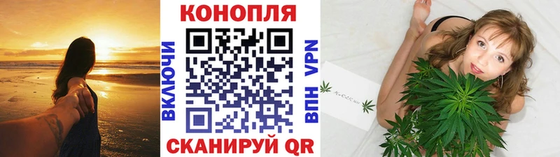Бошки марихуана ГИДРОПОН Чегем